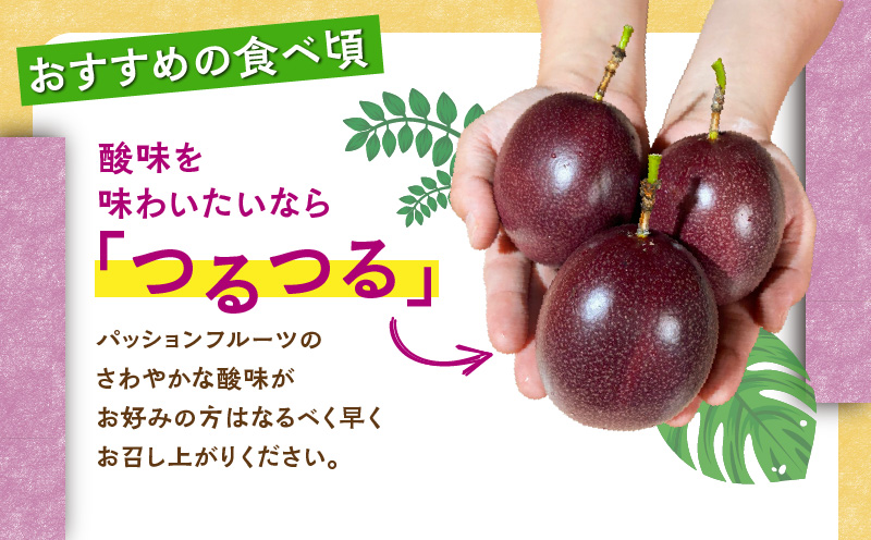【2026年先行予約】パッションフルーツ 家庭用 約1kg　A194-001-01