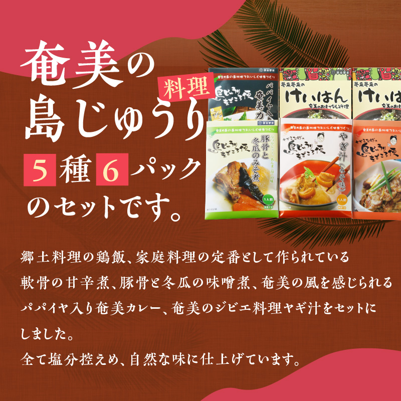 【奄美の伝統・島料理】レトルト6パックセット　A003-009