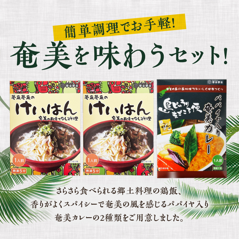 鶏飯・パパイヤ入り奄美カレーセット　A003-006