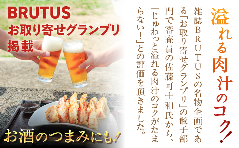 こだわりの奄美島豚餃子　A011-007