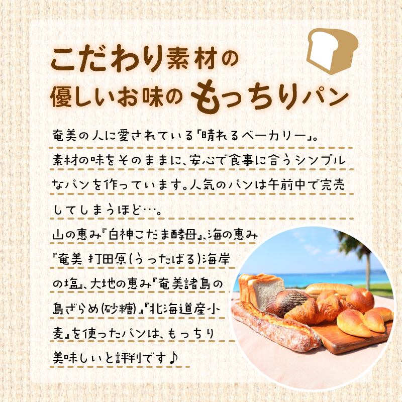 【晴れるベーカリー】おまかせ♪パンセット定期便 ～1年コース（12ヶ月）～　A032-T03