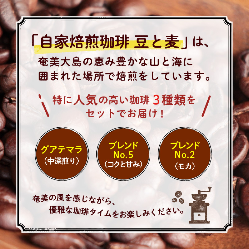 【ギフト用】【自家焙煎】豆と麦の人気コーヒー 200g×3種類セット（豆）　A017-012-03