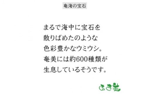 ＜あま美デザイン工房作奄海の宝石＞奄美イラストTシャツ【Sサイズ】　A107-002-01