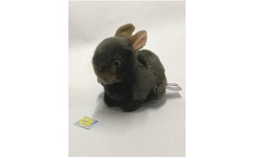 アマミノクロウサギ「ぴょん太マスコット」　A107-005