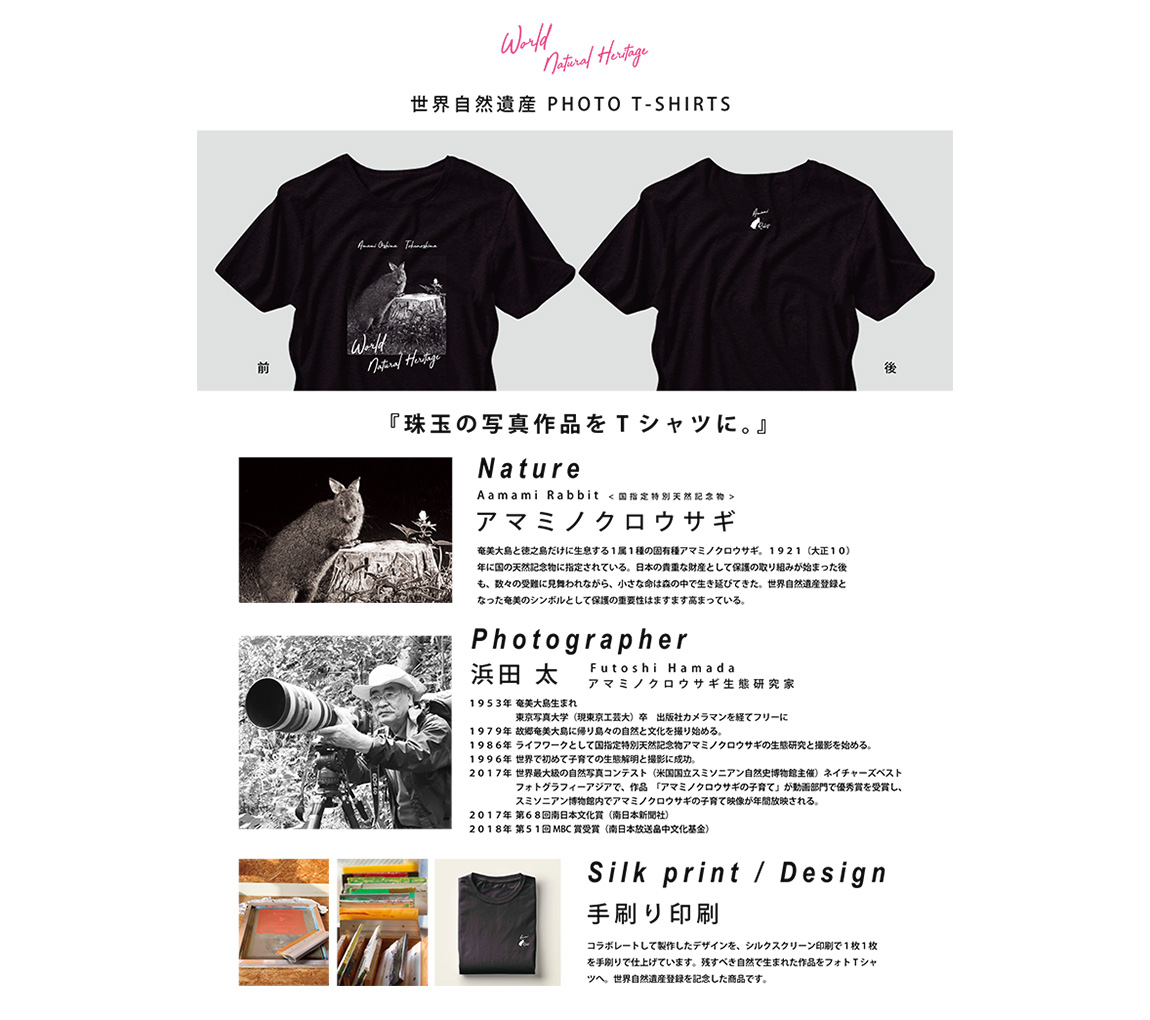 世界自然遺産 PHOTO T-SHIRT アマミノクロウサギ（size XL）　A107-004-03