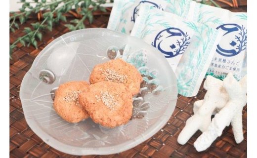 【奄美きょら海工房】奄美の恵み 黒糖＆塩「奄美素材詰め合わせセット」　A087-003