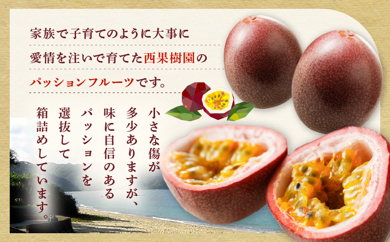 【2026年先行予約】★期間限定★3年連続品評会で金賞受賞！パッションフルーツ 家庭用 5kg　A068-002