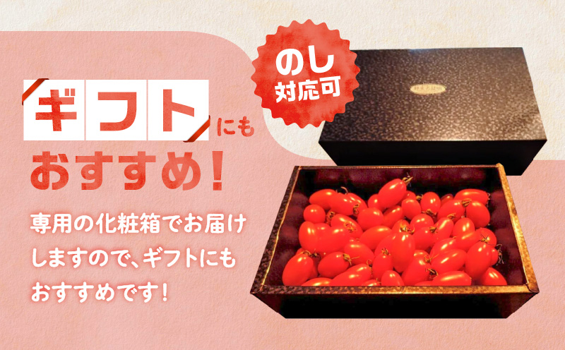 【2026年先行予約】＜化粧箱入/ギフト向け＞ 亜熱帯トマト「野生の証明」約1.5kg　A021-001