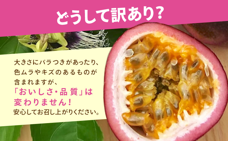 【2026年先行予約】訳あり！完熟！南の島奄美のパッションフルーツ家庭用 3kg （傷物、色むらあり、サイズ混合）　A151-002-01
