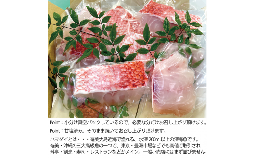 高級魚「ハマダイ（オナガ）」切り身 500g（甘塩）奄美大島老舗鮮魚店が加工製造　A128-004