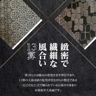【本場奄美大島紬】温かみのある風合いが特徴の13算　A060-006