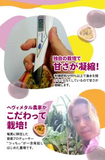 【2026年先行予約】高糖度パッションフルーツ 約1kg　A059-006