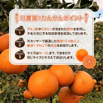 【2026年先行予約】奄美タンカン 優品 5kg（2L～Mサイズ）　A074-002