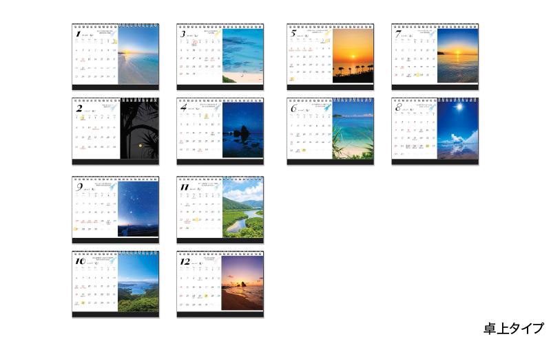 奄美カレンダー2026年 卓上・壁掛セット　A021-049-01