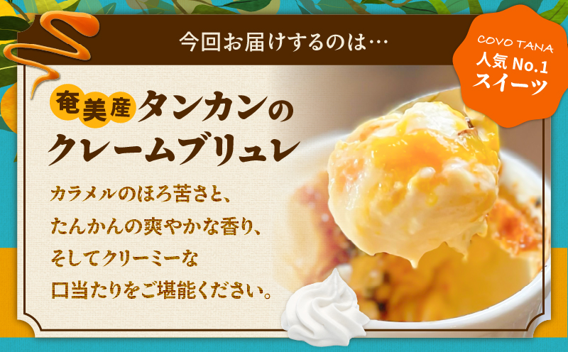 【奄美の保護猫支援（保護猫フード10日分）】＋奄美産タンカンのクレームブリュレ（4個入り）　A071-002-01