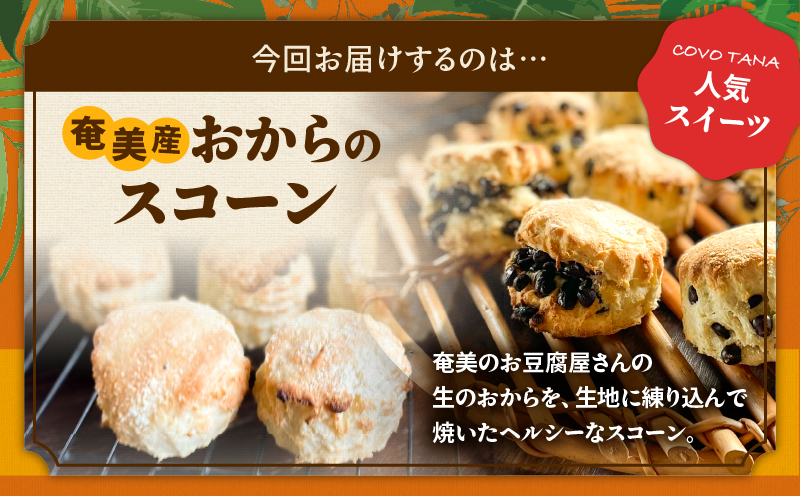 【奄美の保護猫支援（保護猫フード10日分）】＋おからスコーン（チョコチップ）5個入り　A071-004-02