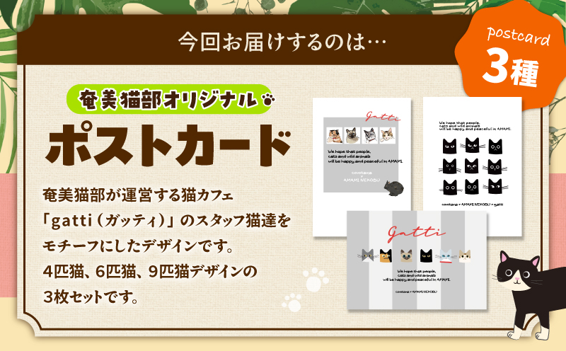 【奄美の保護猫支援（保護猫フード10日分）】＋ポストカード3枚セット　A071-006