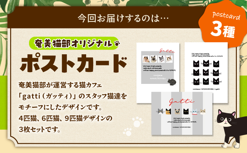 【奄美の保護猫支援（ワクチン代）】＋ポストカード3枚セット　A071-007