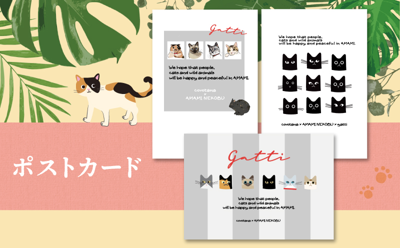 【奄美の保護猫支援（保護猫フード10日分）】＋ポストカード＆クリアファイルセット　A071-008