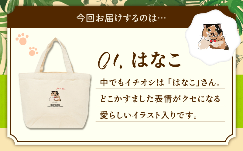 【奄美の保護猫支援（ワクチン代）】＋ミニトートバッグ（はなこ）　A071-010-01