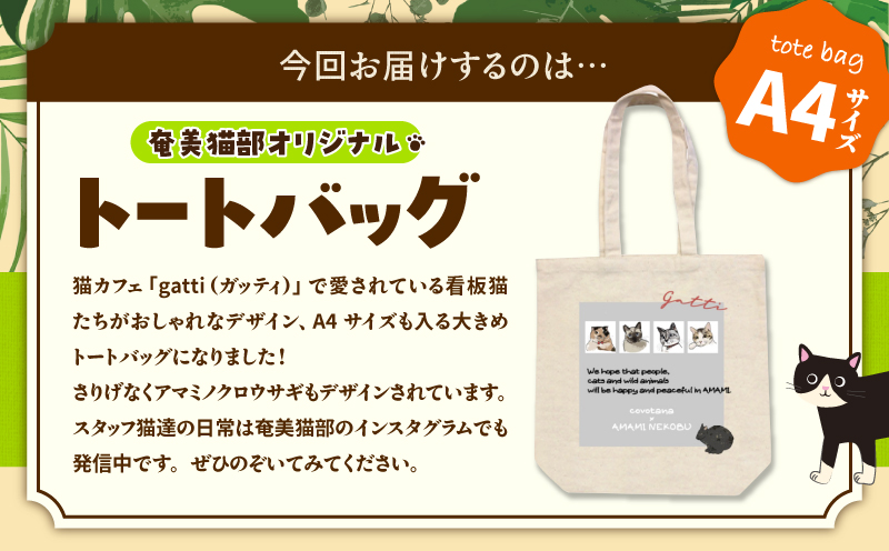 【奄美の保護猫支援（ワクチン代）】＋A4トートバッグ　A071-013