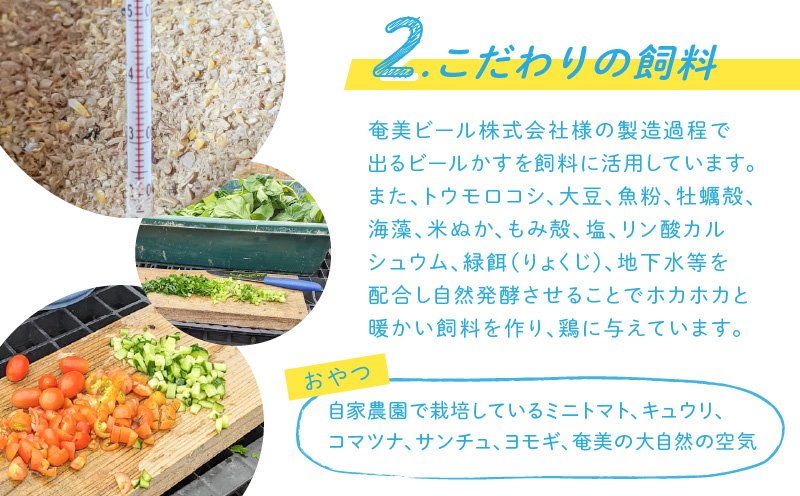 奄卵（あまらん）平飼い 有精卵 30個　A115-007