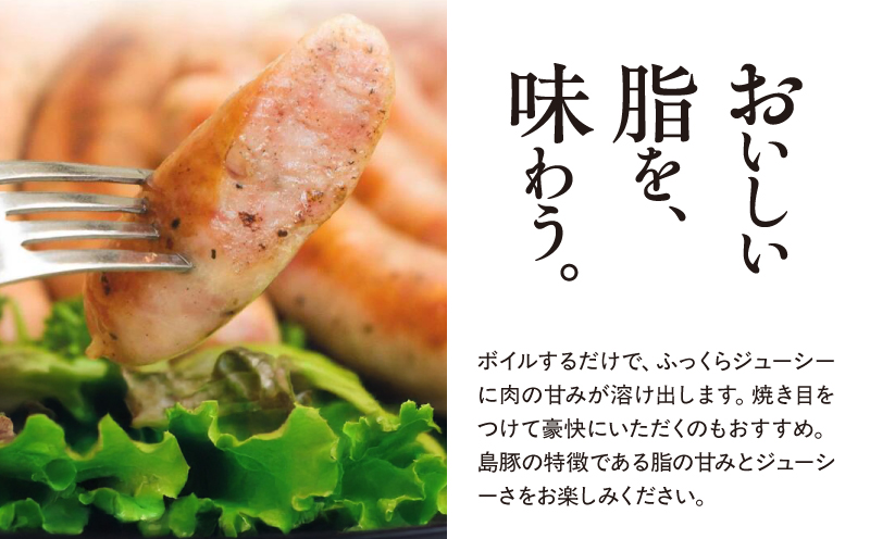 奄美クラフトビール＜4種＞ビアカップ受賞4本セットと奄美島豚あかりんとんソーセージ（6本）【化粧箱】　A126-013-03