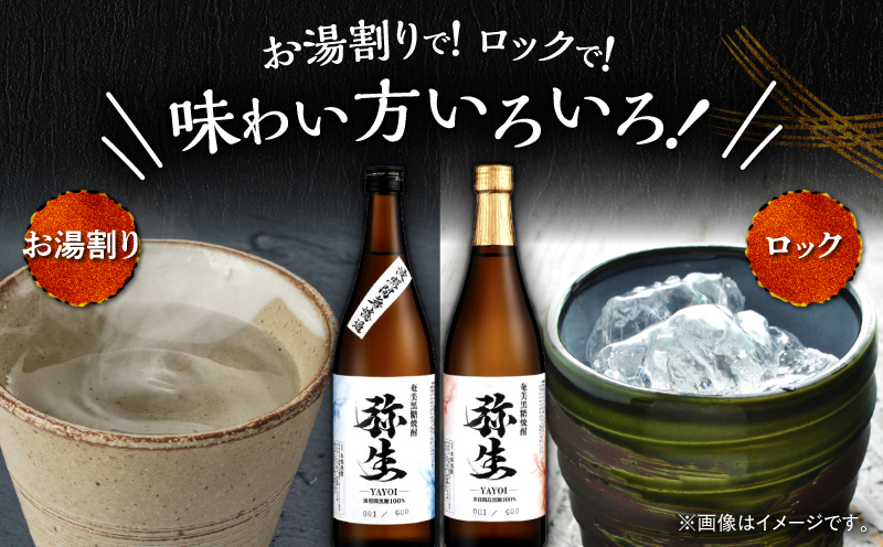 産地別黒糖焼酎 選べる弥生飲み比べセット 720ml 2本入り（弥生波照間無濾過25度＆弥生多良間島25度）　A185-033-02