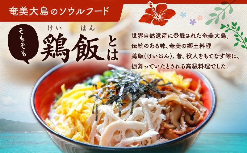 【奄美の郷土料理！】鶏飯（けいはん）2人前 真空パック冷凍　A196-001