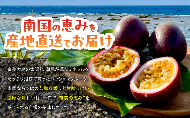 【2026年先行予約】【情熱のタマ】奄美産パッションフルーツ 1.5kg（18玉前後）　A203-001-01