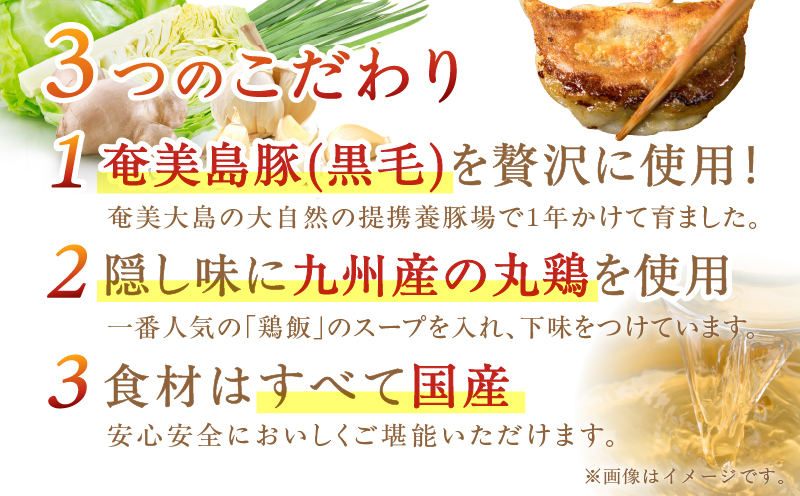 こだわりの奄美島豚餃子　A011-007