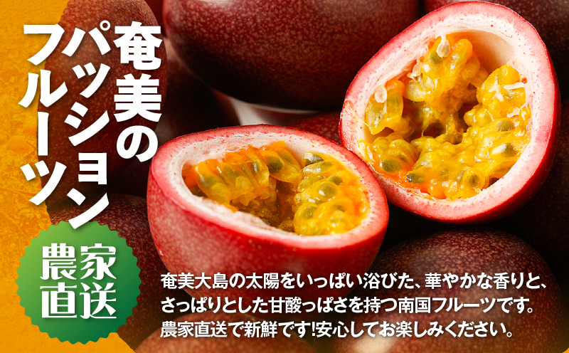 【2026年先行予約】《贈答用》完熟パッションフルーツ3kg　A067-003