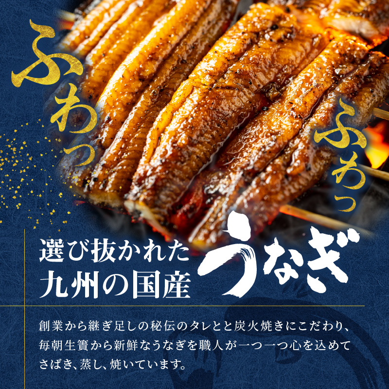 創業140年！老舗うなぎ屋のうなぎのかば焼き2尾と骨せんべいセット　A040-002
