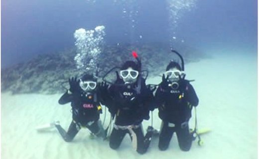 【Cカード（ダイビング免許）取得者限定】ファンダイビング 2本（大人1名様）　A108-002