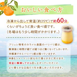 奄美産タンカンのクレームブリュレ（6個入り）　A071-001