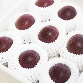 【2026年先行予約】《奄美大島産パッションフルーツ》贈答用化粧箱入り1kg（12玉入り）　A145-005