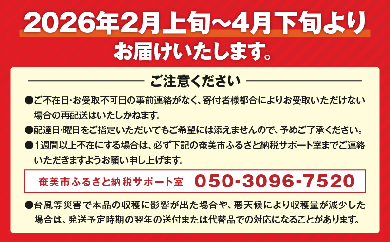 【2026年先行予約】亜熱帯トマト「野生の証明」約400g（約400g×1P）　A021-002-02