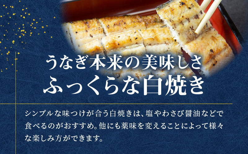 鹿児島県産！老舗うなぎ屋の紅白うなぎ！うなぎのかば焼き1尾（並・100g以上）×1パック・白焼き1尾（並・100g以上）×1パック【ご自宅用】　A040-011-03