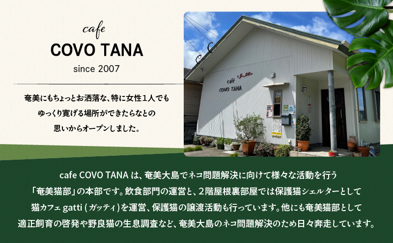 【奄美の保護猫支援（ワクチン代）】＋ポストカード3枚セット　A071-007