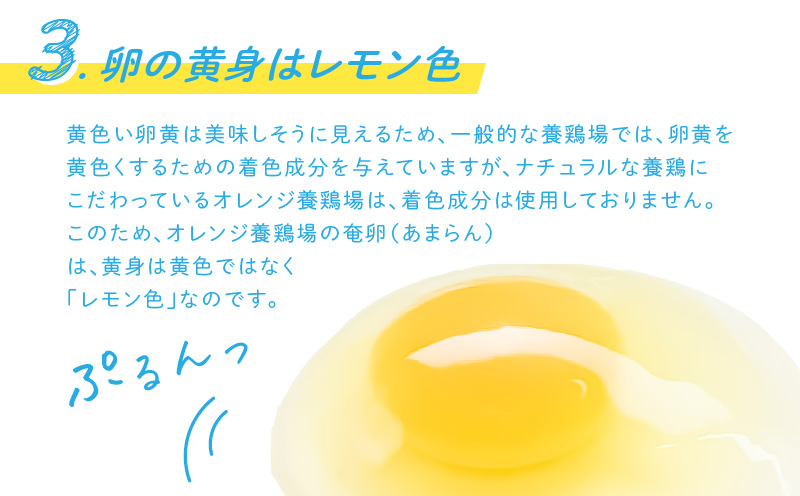 奄卵（あまらん）平飼い 有精卵 30個　A115-007