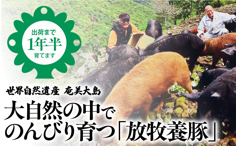 あま豚 ソフトベーコン＆コールドポークセット　A146-009