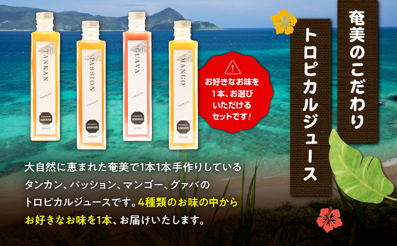 奄美ジュース（タンカン）＆アンダギーセット　A191-003-01