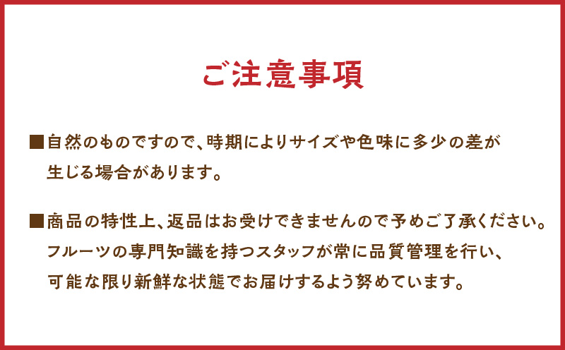 【2026年先行予約】パッションフルーツ 家庭用 約1kg　A194-001-01