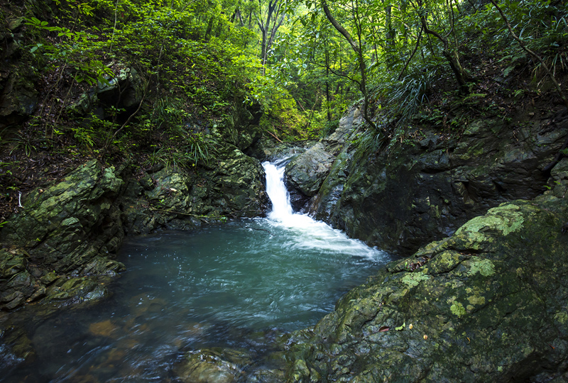 奄美黒糖焼酎 じょうご 25度 紙パック 1800ml×6本　A002-014