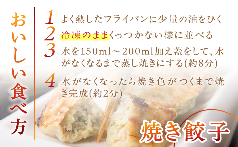 こだわりの奄美島豚餃子　A011-007