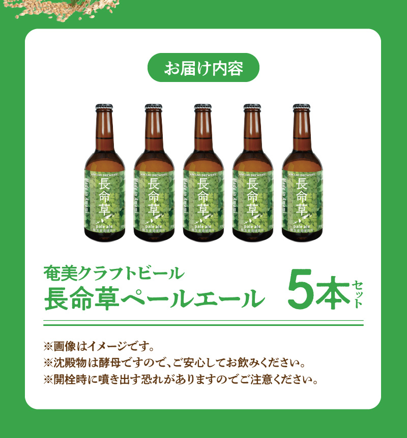 奄美クラフトビール＜長命草ペールエール＞5本セット　A126-003