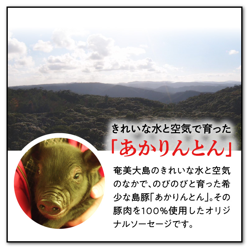 奄美島豚 あかりんとん ソーセージミニセット　A008-001
