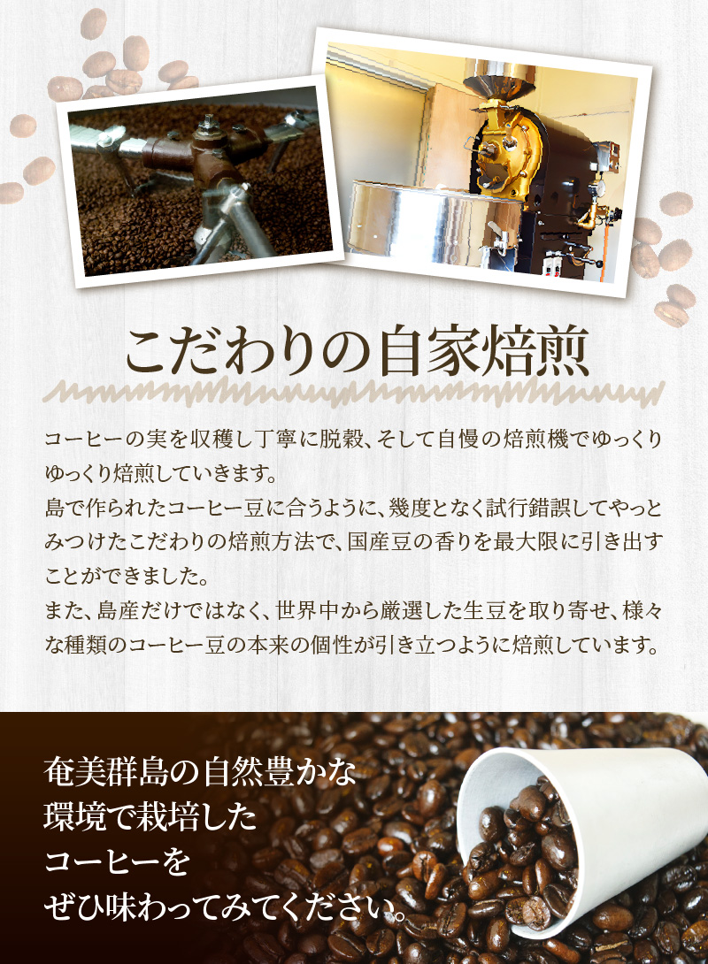 【人気の定期便 3ヶ月コース】自家栽培・自家焙煎【てるまに珈琲】スペシャルブレンドコーヒーギフトセット＜豆＞　A075-T01-01