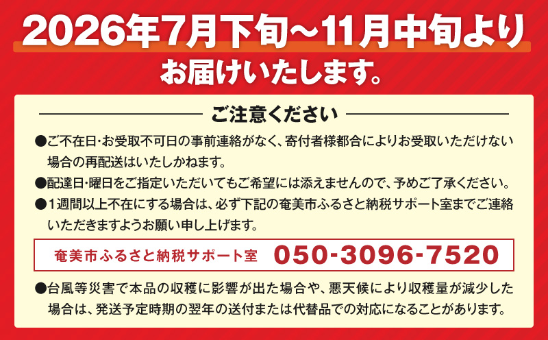 【2026年先行予約】奄美産ドラゴンフルーツ 赤玉 2kg　A145-008