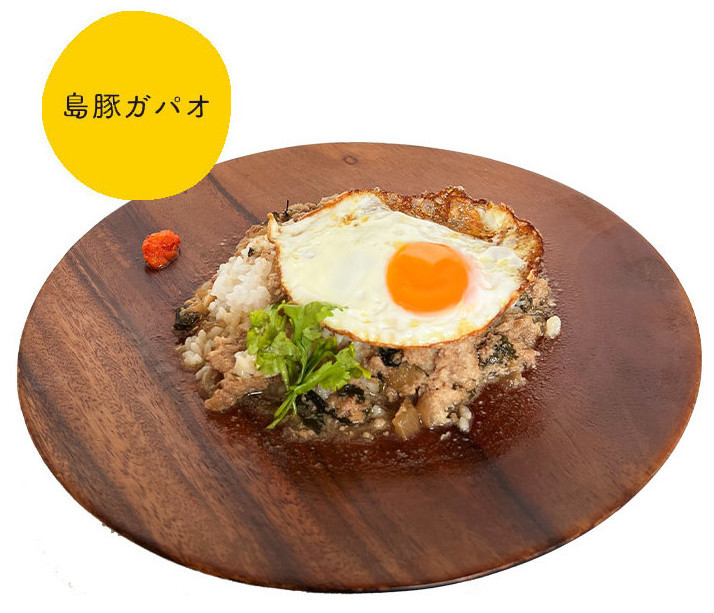 自家製グリーンカレー＆トムカーガイ＆島豚ガパオセット　A129-004